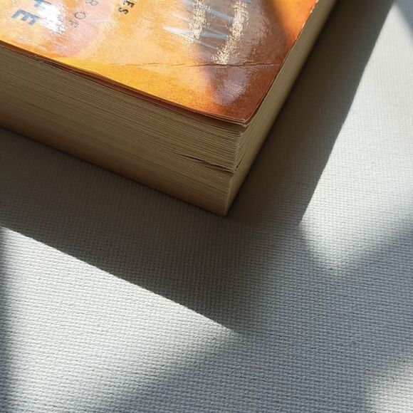 Circling The Sun By Paula McLain - Book - Picture 4 of 6